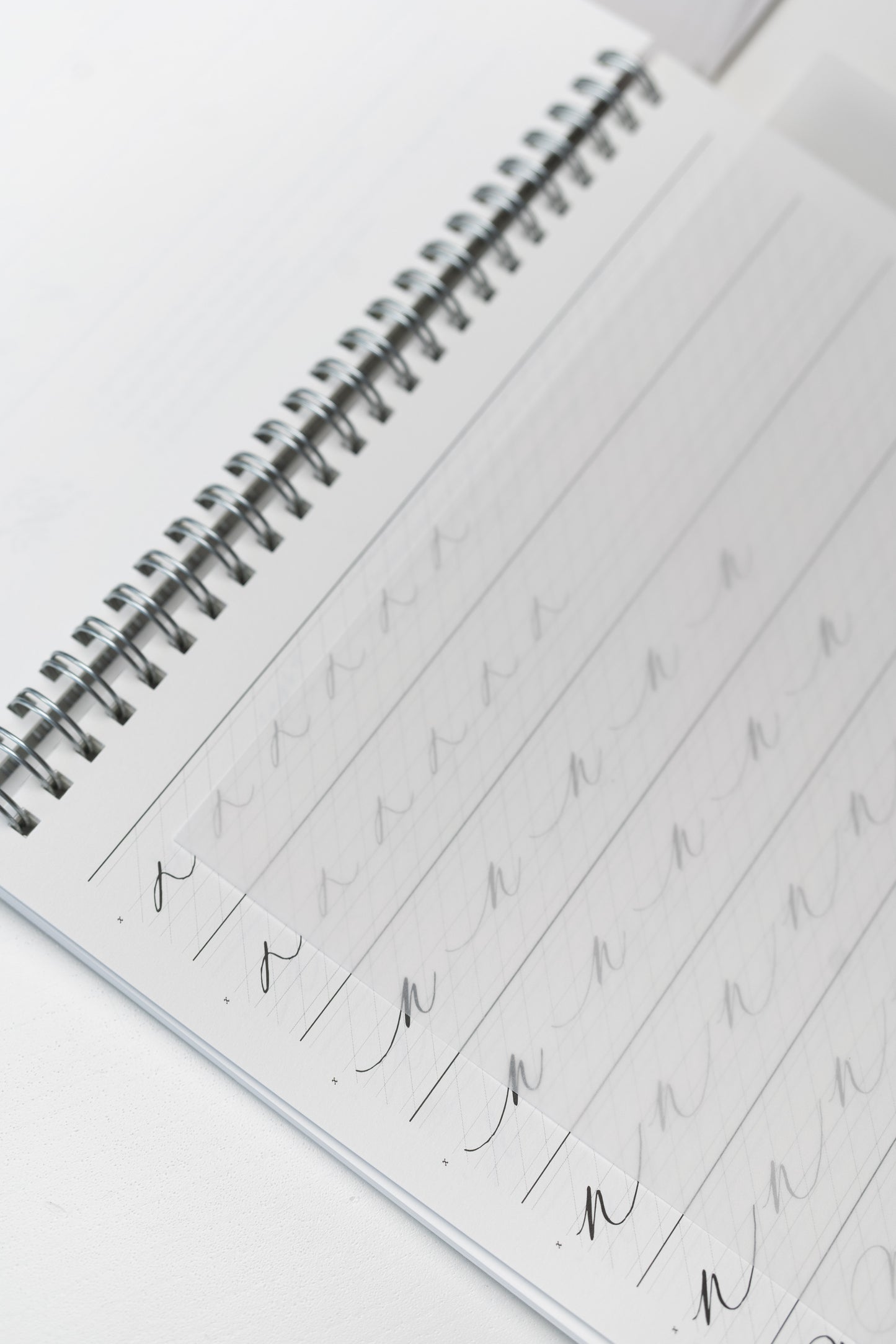Spiral-bound calligraphy workbook with practice sheets and vellum overlays for tracing and improving letterforms