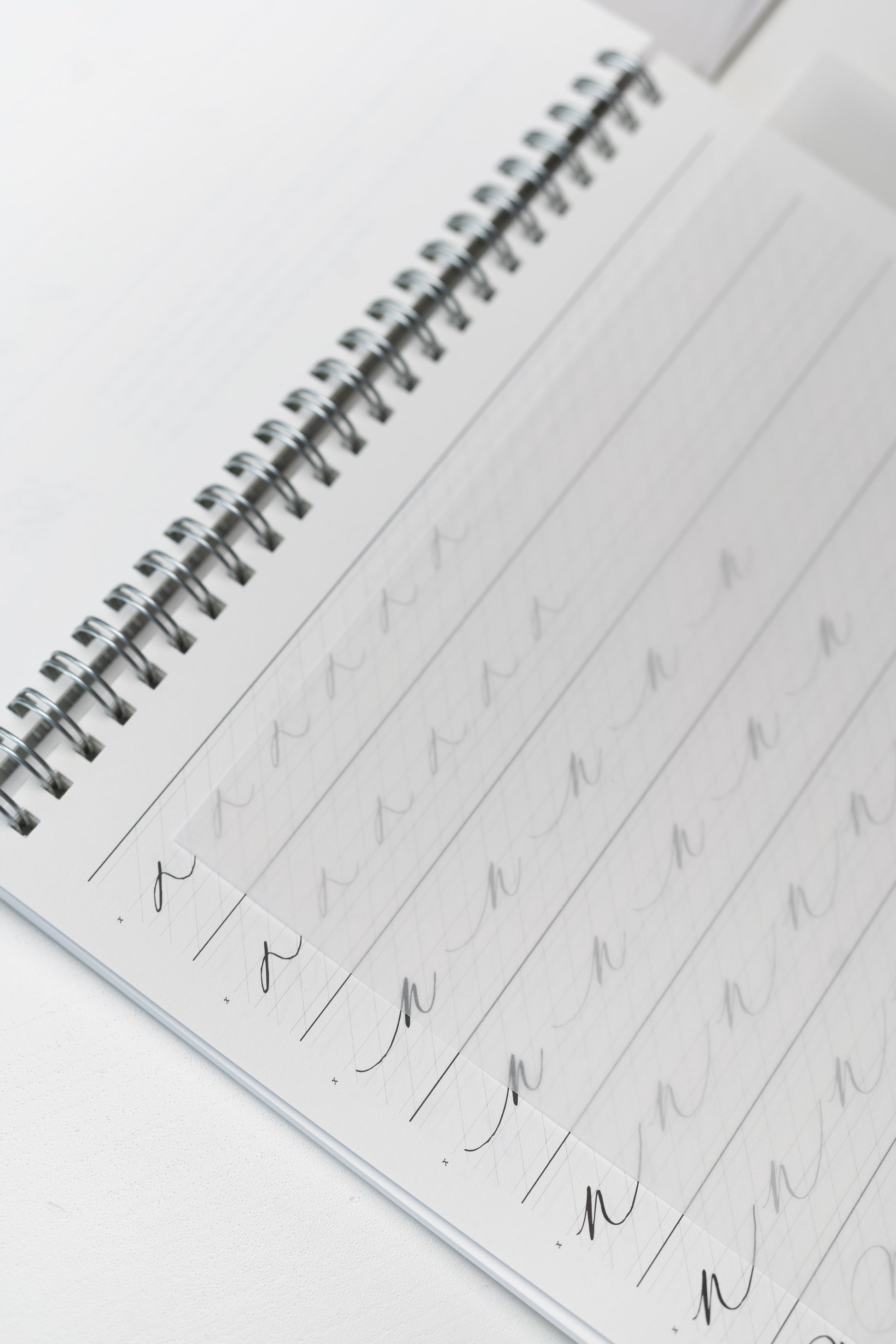 Spiral-bound calligraphy workbook with practice sheets and vellum overlays for tracing and improving letterforms
