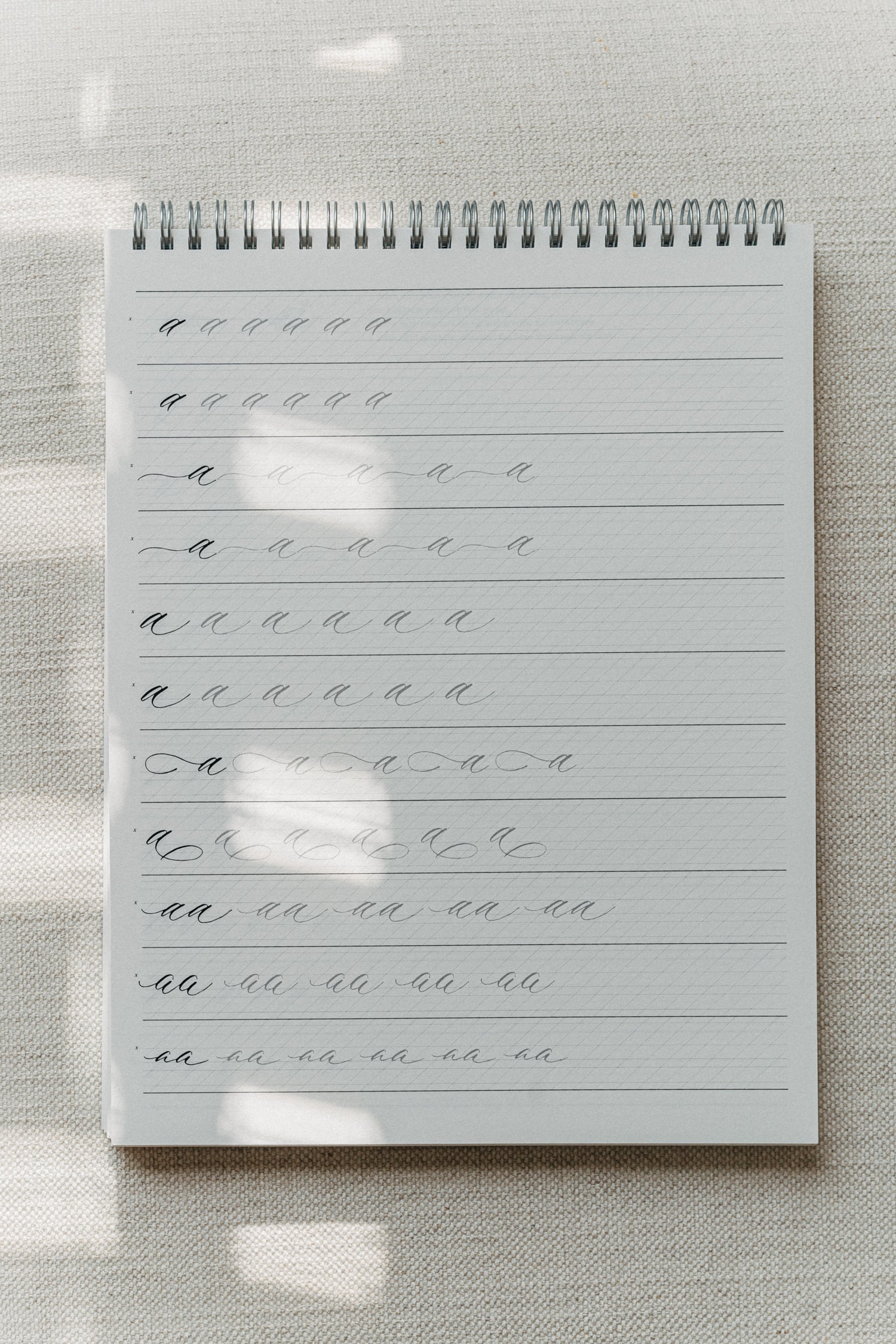 Calligraphy practice pad showing rows of lowercase 'a' in various styles, perfect for mastering strokes and flourishes on a soft background