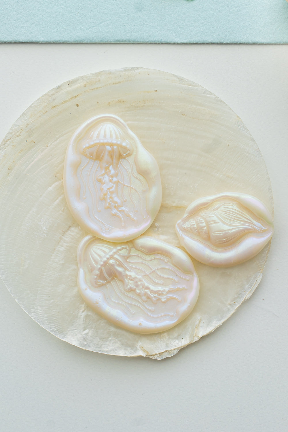 Mother-of-pearl wax seals with jellyfish and seashell designs displayed on a natural shell, beneath a pale blue envelope.