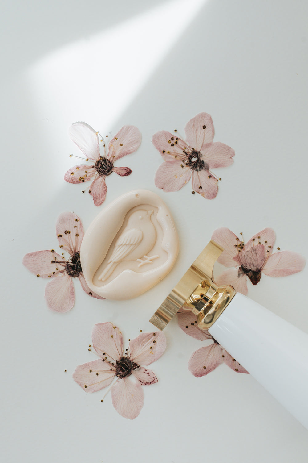 Songbird wax seal impression with sakura wax and cherry blossoms in the background