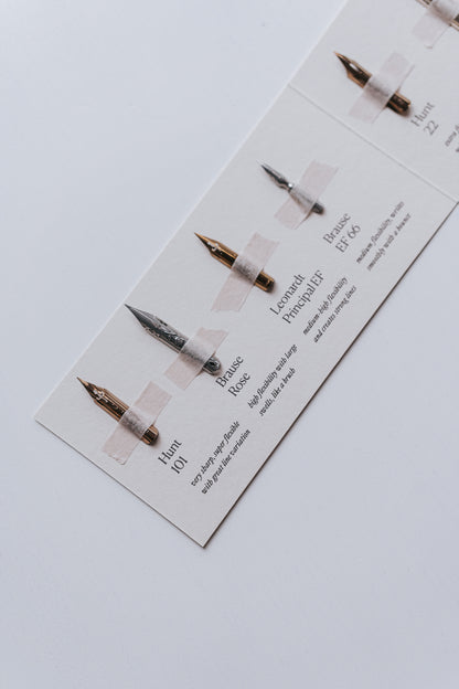 A close-up of Hunt 101, Brause Rose, Leonardo Principal EF, and Brause EF 66 nibs