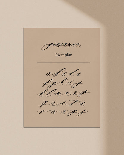 Lowercase Digital Worksheets - Gossamer