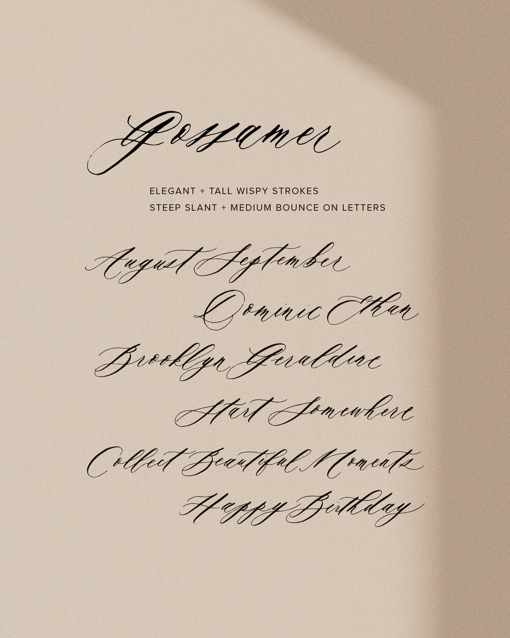 Uppercase Digital Worksheets - Gossamer